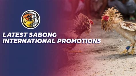 lodyes sabong meaning tagalog|SABONG: Tagalog.